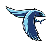New Falcon Image.png